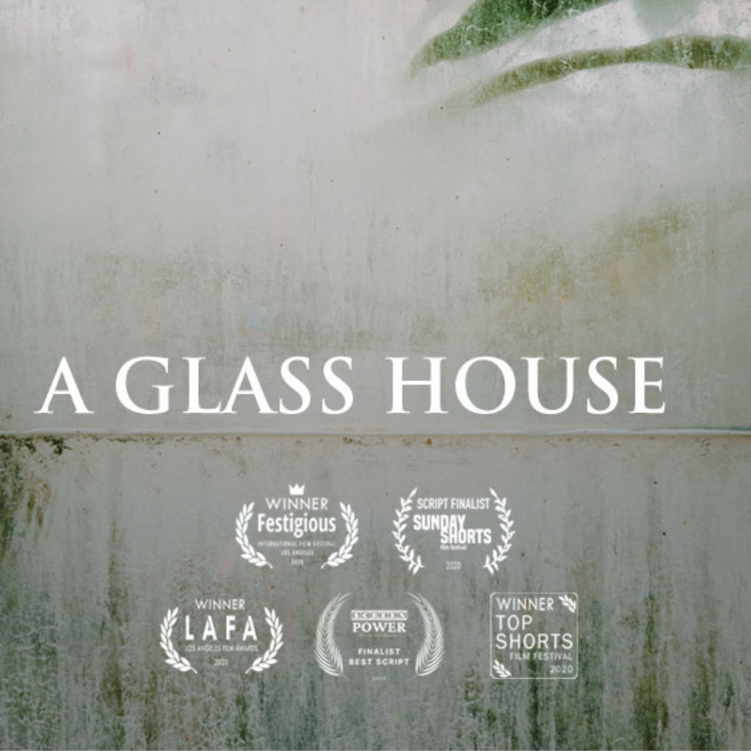 A GLASS HOUSE (UK) by Charles Strider